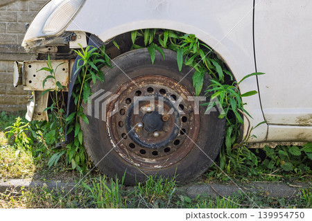 Green Plants Growing Around Rusty Car Wheel 139954750