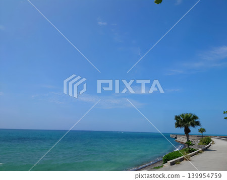 美麗的熱帶海岸線，棕櫚樹搖曳生姿，大海碧波蕩漾。 139954759
