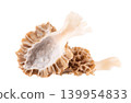 Morel mushroom isolated on white background. Morchella esculenta. Spring edible fungi. Clipping path. 139954833