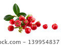 Fresh cowberry berries with leaves, isolated on white background. Ripe cranberry, cowberry, lingonberry. Clipping path. 139954837