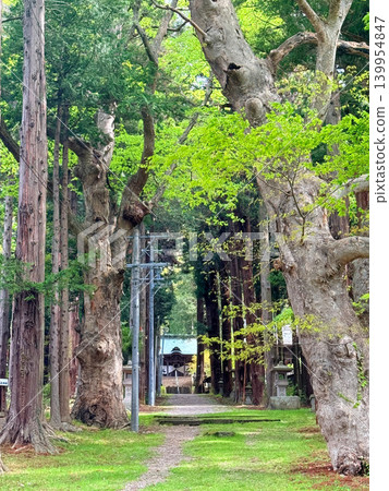 長野縣佐久市新海三社的參道 長野縣佐久市新海三社的參道 139954847
