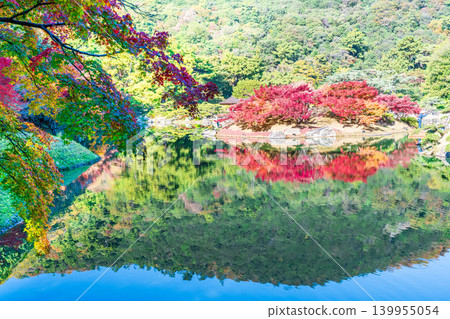 【特別風景名勝】栗林庭園：晚秋美景－楓葉覆蓋的楓島與紫雲山倒映在水中－香川縣高松市 139955054