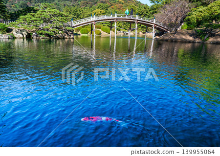 【特別風景名勝】栗林庭園：晚秋景色－南湖錦鯉與圓月橋（下）－香川縣高松市 139955064