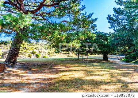 【特別風景名勝】栗林庭園:甲武車晚秋景色(2)香川縣高松市 【特別風景名勝】栗林庭園:甲武車晚秋景色(2)香川縣高松市 139955072
