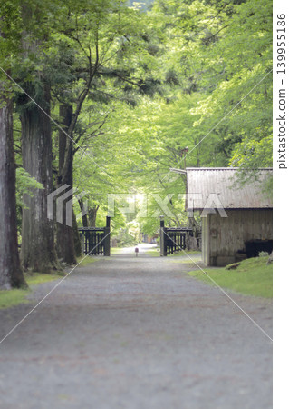 神社入口處綠樹環繞,景色宜人。 神社入口處綠樹環繞,景色宜人。 139955186