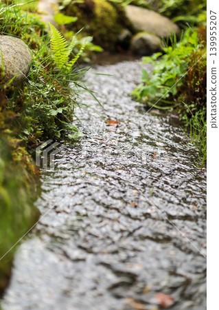 A mossy stream landscape (photo) A mossy stream landscape (photo) 139955207