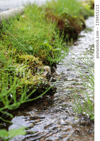 A mossy stream landscape (photo) A mossy stream landscape (photo) 139955213