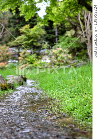 A mossy stream landscape (photo) A mossy stream landscape (photo) 139955224