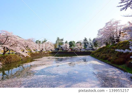 櫻花盛開,花筏,松崎公園,櫻花,櫻花,染井吉野櫻花樹 櫻花盛開,花筏,松崎公園,櫻花,櫻花,染井吉野櫻花樹 139955257