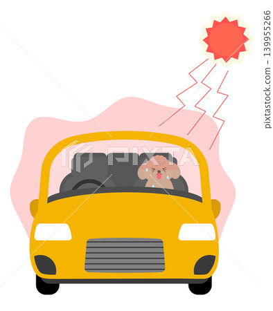 一隻玩具貴賓犬被留在烈日下的車裡,導致中暑。 一隻玩具貴賓犬被留在烈日下的車裡,導致中暑。 139955266