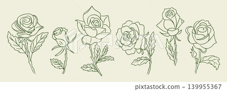 Line art illustration of various rose flowers with detailed petals and leaves arranged in a horizontal row on a light beige background Line art illustration of various rose flowers with detailed petals and leaves arranged in a horizontal row on a light beige background 139955367