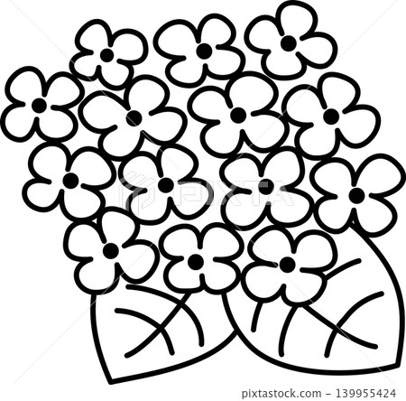Hydrangea black and white line drawing coloring picture Hydrangea black and white line drawing coloring picture 139955424