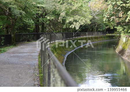 與河景觀 與河景觀 139955466