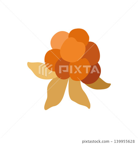 Hand-drawn autumn forest wild cloudberry isolated on white for fall designs or packaging, food ingredients or flavour illustration Hand-drawn autumn forest wild cloudberry isolated on white for fall designs or packaging, food ingredients or flavour illustration 139955628