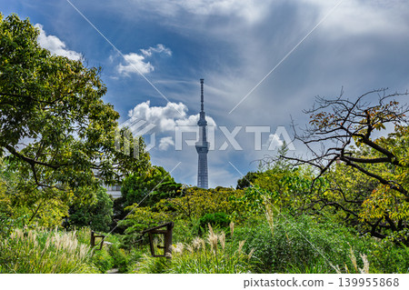 2023年9月,從向島百花園拍攝的藍天和東京晴空塔的廣角照片。 2023年9月,從向島百花園拍攝的藍天和東京晴空塔的廣角照片。 139955868