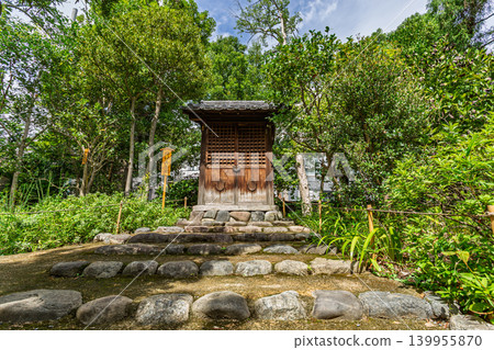 向島百花園日式庭園的蔥鬱綠意與傳統木造建築風光,第二部分,2023年9月 向島百花園日式庭園的蔥鬱綠意與傳統木造建築風光,第二部分,2023年9月 139955870