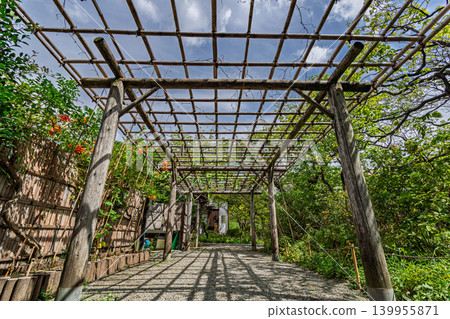 2023年9月，向島百花園中，竹製紫藤架錯落有致，在地面上投下斑駁的光影，構成了一幅美麗的畫面。 139955871