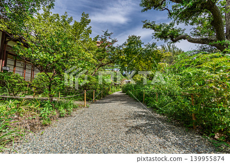 向島百花園日式庭園的蔥鬱綠意與傳統木造建築風景－第四部分，2023年9月 139955874
