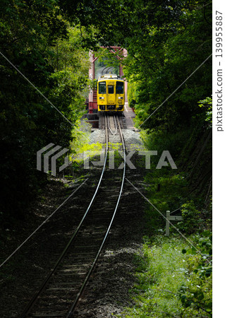 穿過鐵路橋,您將進入黃色本地線路上綠樹成蔭的隧道。 穿過鐵路橋,您將進入黃色本地線路上綠樹成蔭的隧道。 139955887