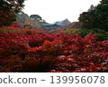 Tofukuji 139956078
