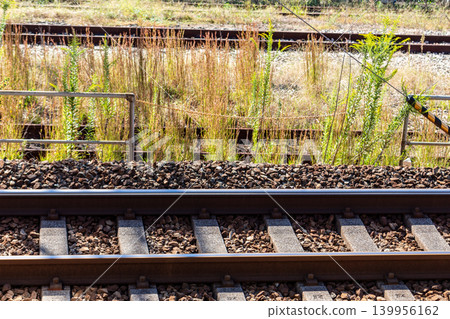 A landscape featuring railway tracks overgrown with vegetation and tracks maintained to high standards, conveying an image of safe transportation and infrastructure maintenance. 139956162