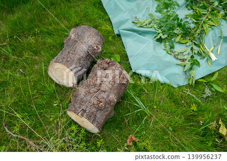 lumber, log, logs 139956237