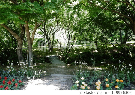 A wooden bridge with flowers and a stream A wooden bridge with flowers and a stream 139956302