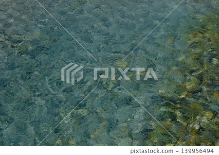 The stones on the riverbed sway in the clear, shallow waters, and soft light shines through. 139956494