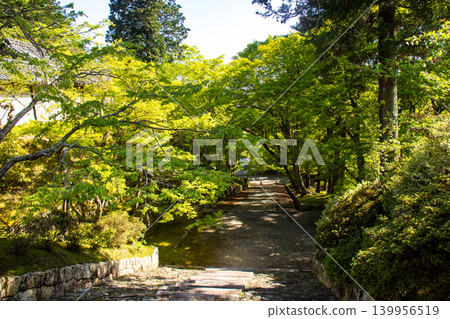 毗沙門天寺，毗沙門天的祝福：比賽好運，財運亨通，生意興隆，家庭平安。 139956519