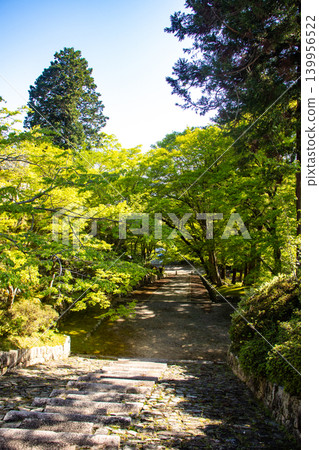 毗沙門天寺，毗沙門天的祝福：比賽好運，財運亨通，生意興隆，家庭平安。 139956522