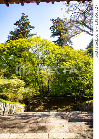 毗沙門天寺，毗沙門天的祝福：比賽好運，財運亨通，生意興隆，家庭平安。 139956527