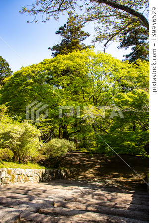 毗沙門天寺，毗沙門天的祝福：比賽好運，財運亨通，生意興隆，家庭平安。 139956529
