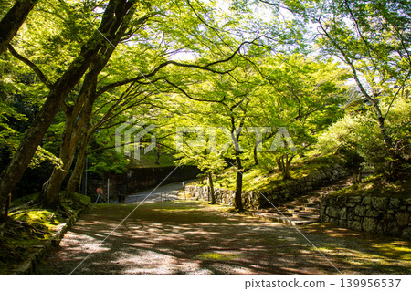 毗沙門天寺，毗沙門天的祝福：比賽好運，財運亨通，生意興隆，家庭平安。 139956537