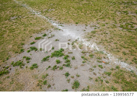 soccer field, lawn, sward 139956577