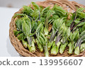 野菜女王——小葉芹，堆放在籃子裡。 139956607