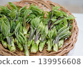 野菜女王——小葉芹，堆放在籃子裡。 139956608