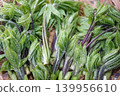 野菜女王——小葉芹，堆放在籃子裡。 139956610