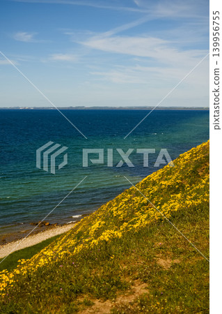 A spectacular view of the Baltic Sea from the hill of Ale Stenar. 139956755