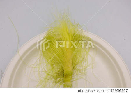 A top-down shot of fresh baby corn and its silks on a plate against a white background. A top-down shot of fresh baby corn and its silks on a plate against a white background. 139956857