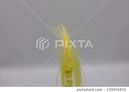 Fresh baby corn silks and kernels (upright cut) stand out against a gray background. Fresh baby corn silks and kernels (upright cut) stand out against a gray background. 139956858