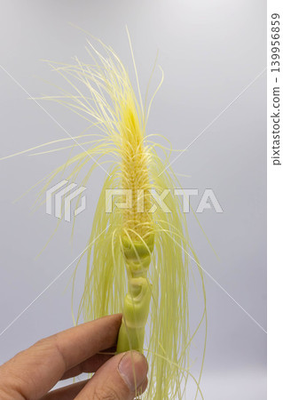 A vertical composition of fresh baby corn held in the hand and its long, beautiful silks. A vertical composition of fresh baby corn held in the hand and its long, beautiful silks. 139956859