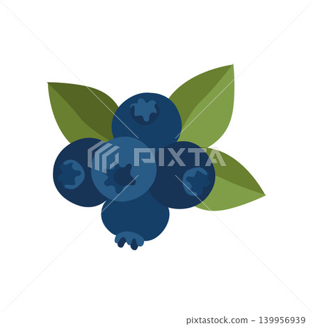 Hand-drawn autumn forest wild blueberry with leaves illustration isolated on white for fall designs or packaging, food ingredients Hand-drawn autumn forest wild blueberry with leaves illustration isolated on white for fall designs or packaging, food ingredients 139956939