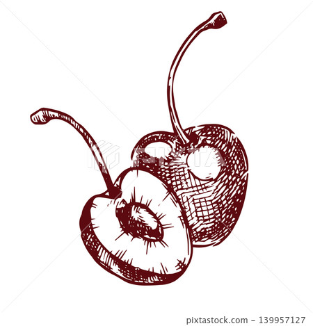 Cherry berry composition. Vector illustration in sketch style. 139957127