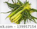 A mountain of fresh, unhulled baby corn overflowing from a white plate, captured from a diagonal overhead view. 139957154