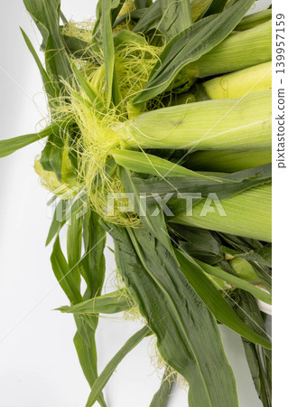 Detail cut of fresh baby corn leaves and finely curled root hairs. 139957159