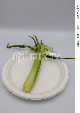 A single, freshly cut young corn (baby corn) with the husk still on, placed on a white plate. A single, freshly cut young corn (baby corn) with the husk still on, placed on a white plate. 139957160