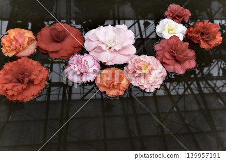 Colorful flowers floating on the water's surface, reflected in the greenhouse. Colorful flowers floating on the water's surface, reflected in the greenhouse. 139957191