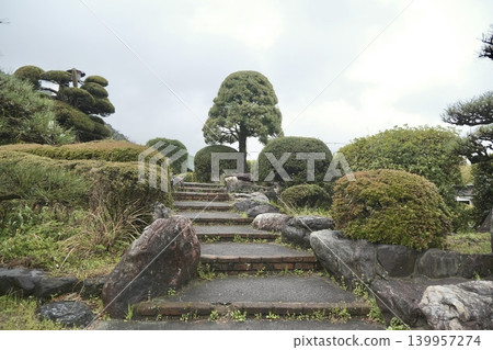 A Japanese garden landscape featuring stone steps and meticulously trimmed plants. A Japanese garden landscape featuring stone steps and meticulously trimmed plants. 139957274