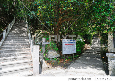 千葉縣富津市,通往日本寺的道路兩旁綠樹環繞,景色宜人。 千葉縣富津市,通往日本寺的道路兩旁綠樹環繞,景色宜人。 139957390