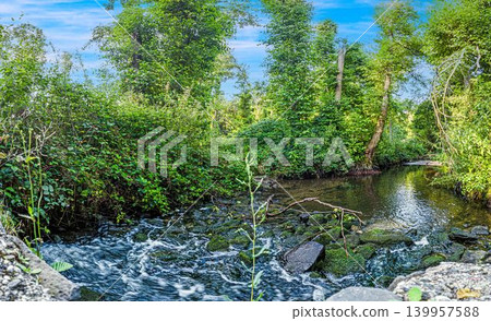 Forest creek with flowing water in Hessen Germany Forest creek with flowing water in Hessen Germany 139957588